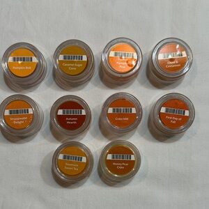 Scentsy Autumn Wax Melts
